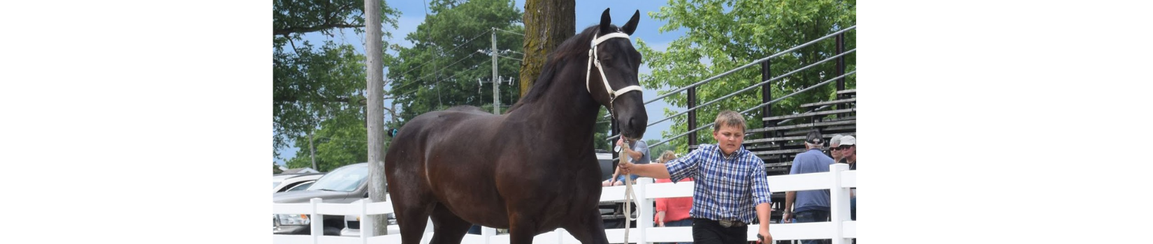 Ontario Percheron Horse Association Silent Auction